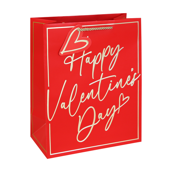 Eurowrap 12 Pack Gift Bag Valentine's Text Large
