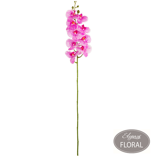 Eleganza Hot Pink Phaleonopsis Orchid Stem