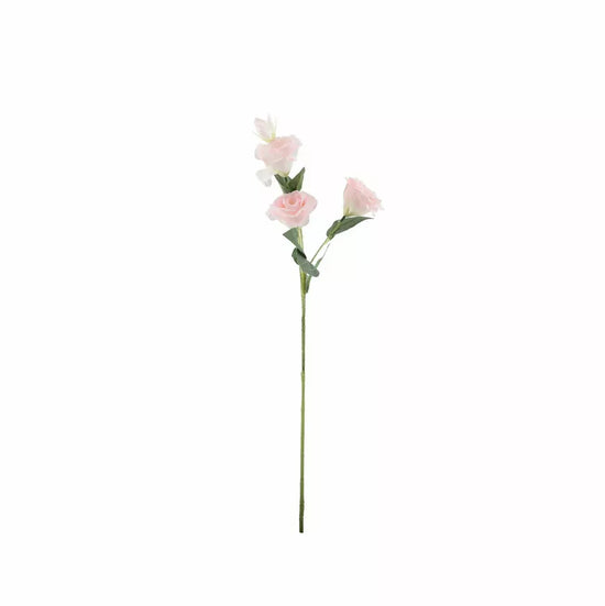 Lisianthus Pink