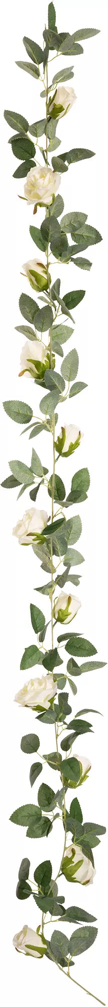 Eleganza Alice Rose Garland Ivory (11 Heads)