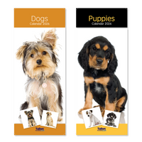 Tallion Tallon 24 Pack Calendar featuring dogs and puppies, slim design with colorful images of various breeds.