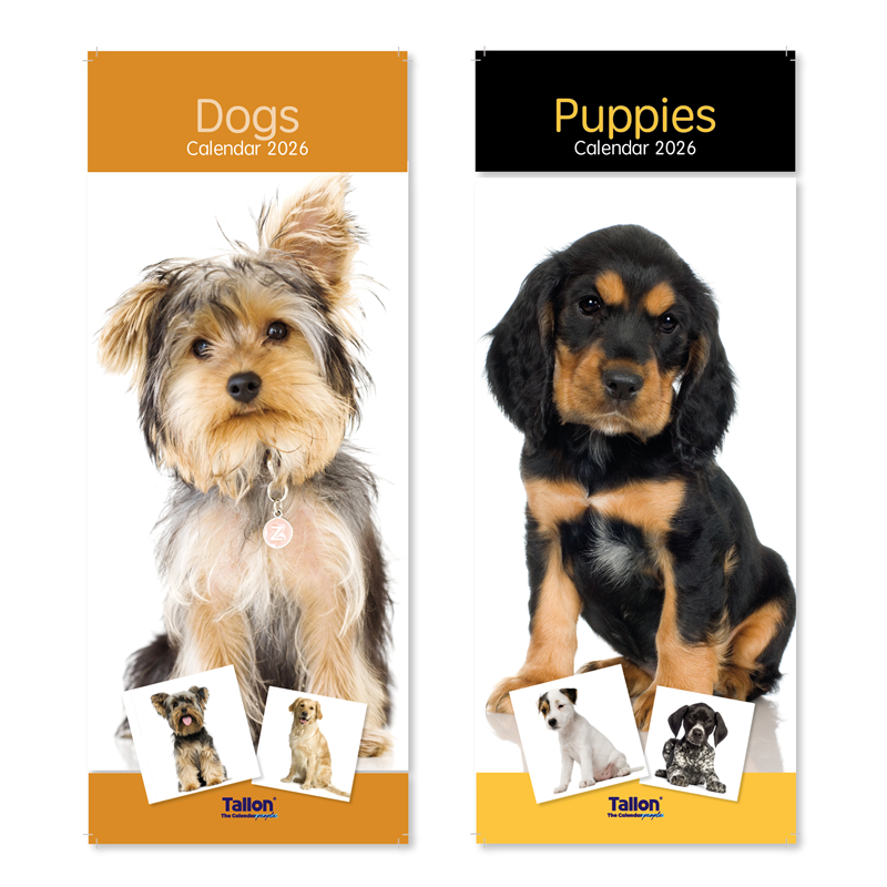 Tallion Tallon 24 Pack Calendar featuring dogs and puppies, slim design with colorful images of various breeds.