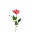 Rose Dark Pink