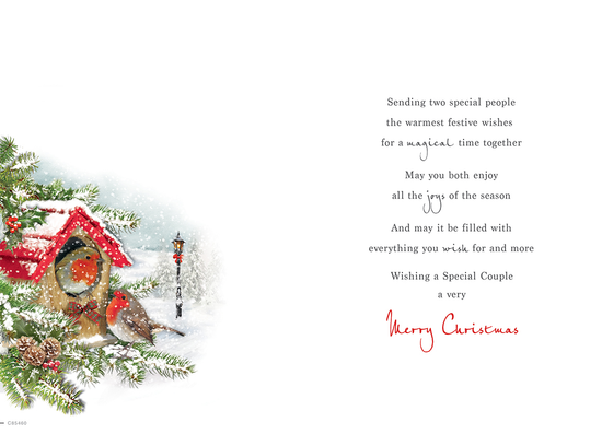Regal 6 Pack C75 Cards Christmas Special Couple