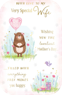 Prelude C375 Mother's Day Wife 6pk