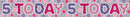 Age 5 Birthday Female Banner 2.6M 6pk