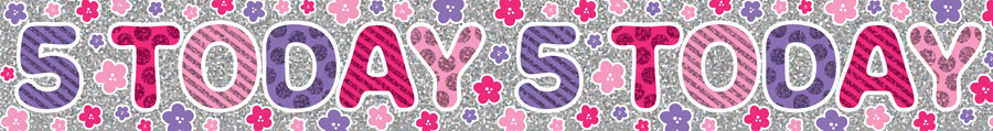 Age 5 Birthday Female Banner 2.6M 6pk