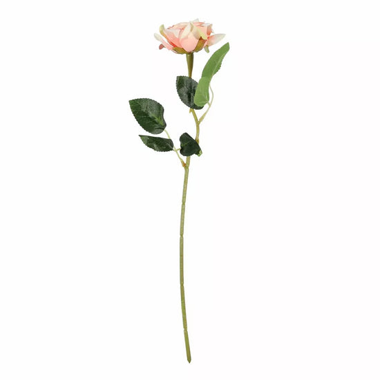 Rose Peach