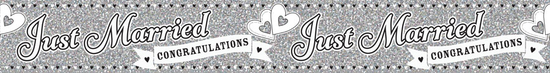 Tiger Feet 6 Pack Banner Just Married 2.6M