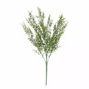 MiniRuscus Bush Green