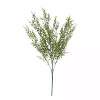 MiniRuscus Bush Green