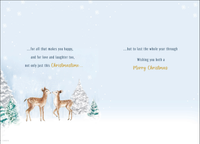 Regal 6 Pack C75 Cards Christmas Special Couple