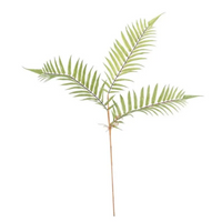 Green Boston Fern Spray Leaves