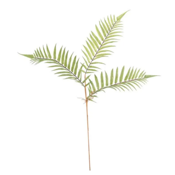 Green Boston Fern Spray Leaves