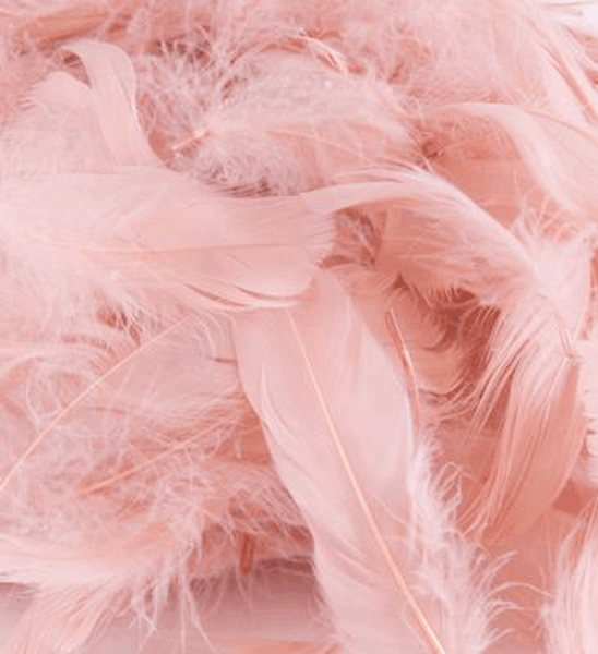 Eleganza Rose Gold Mixed Feathers 8g