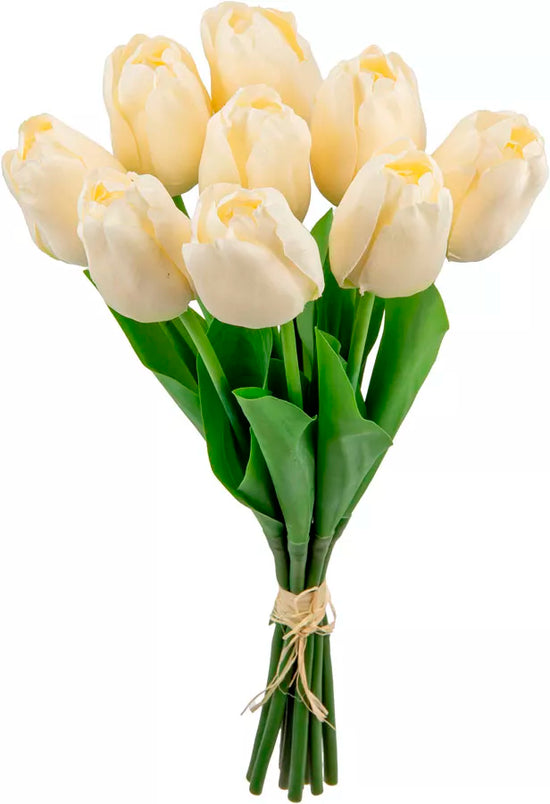 Eleganza Tulip Bunch Cream (9 Heads)