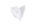 Unique 10 Sheet Tissue Paper White