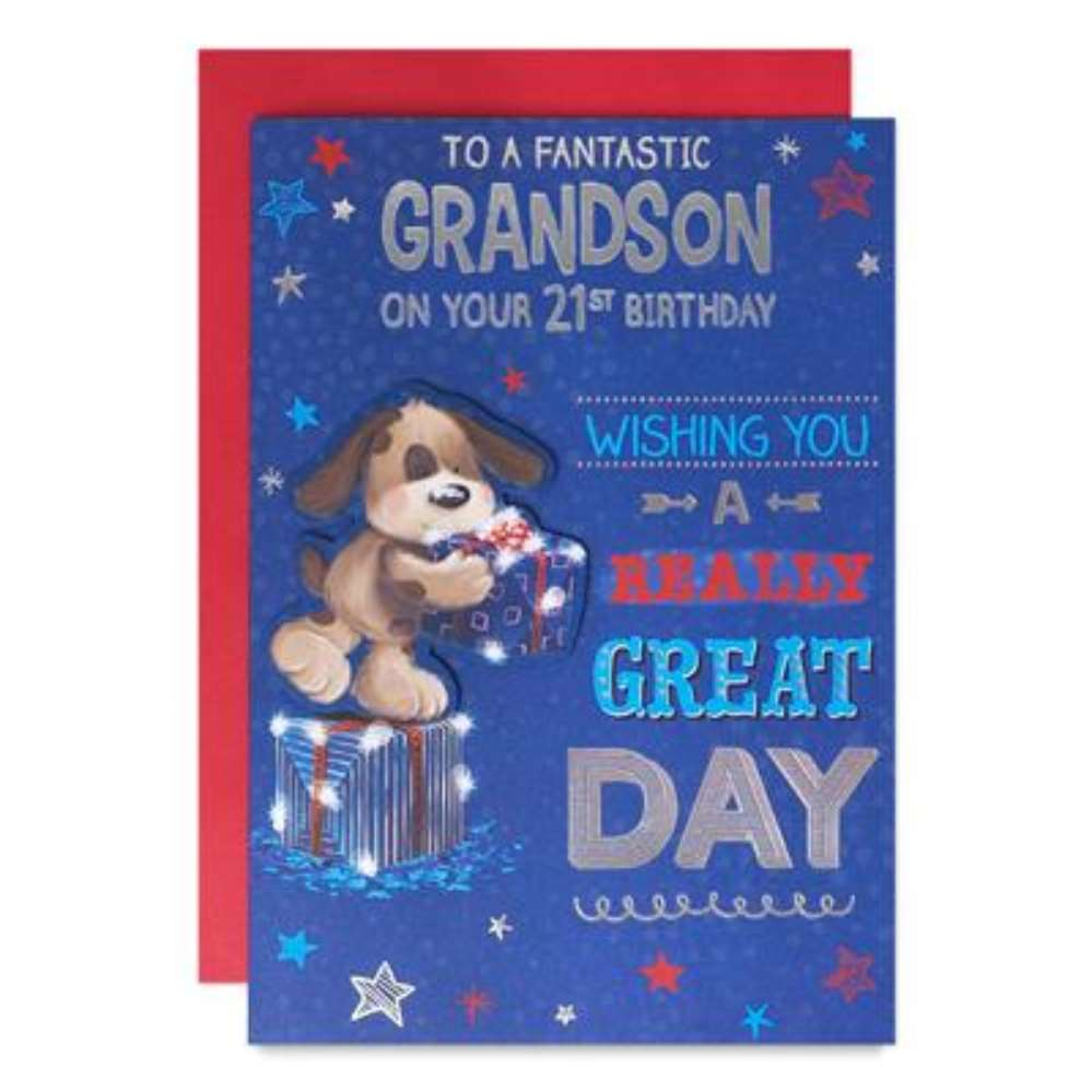 Prelude C90 Birthday Age 21 Grandson 6pk