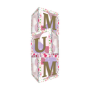 Eurowrap Balloon Box Mum