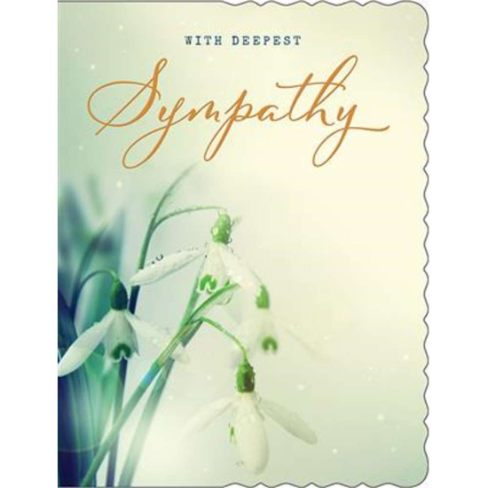 Regal 6 Pack Cards C50 Everyday Sympathy