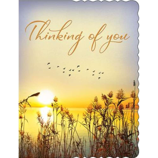 Regal 6 Pack Cards C50 Everyday Thinking Of You