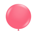 Tuftex 17in Taffy Latex Balloons 50Pk
