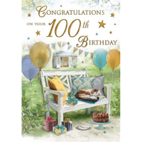 Regal 6 Pack Cards C75 Everyday Birthday Age 100