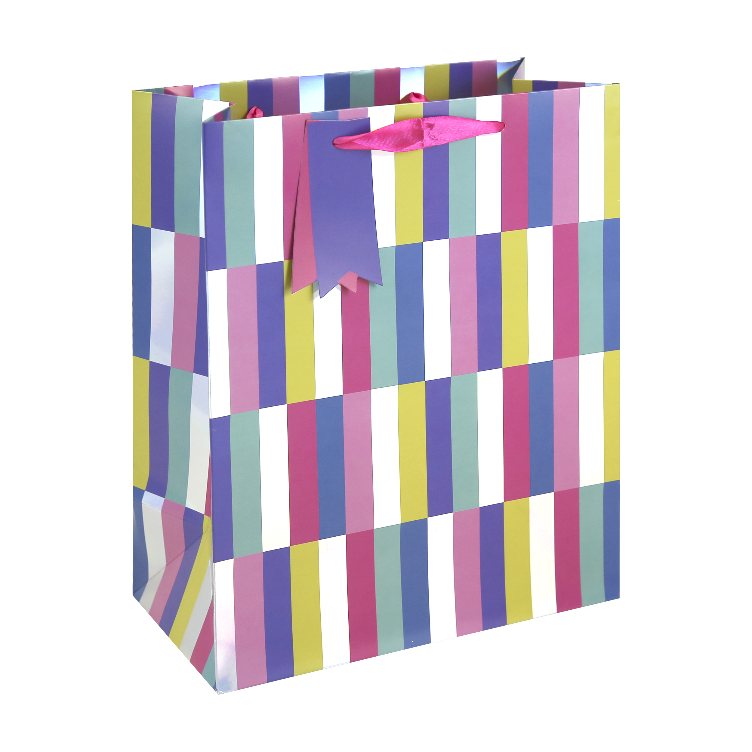 Eurowrap 6 Pack Gift Bag Holo Stripes Large