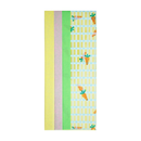 Eurowrap Tissue Paper & Cellophane Set Easter