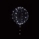 Bright White LED 5M Balloon Lights