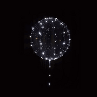 Bright White LED 5M Balloon Lights