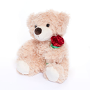 Tiger Feet Soft Toy Bear With Rose Cream 25cm