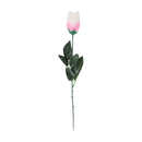 Eurowrap Rose Pink 45cm