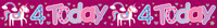Age 5 Birthday Male Banner 2.6M 6pk